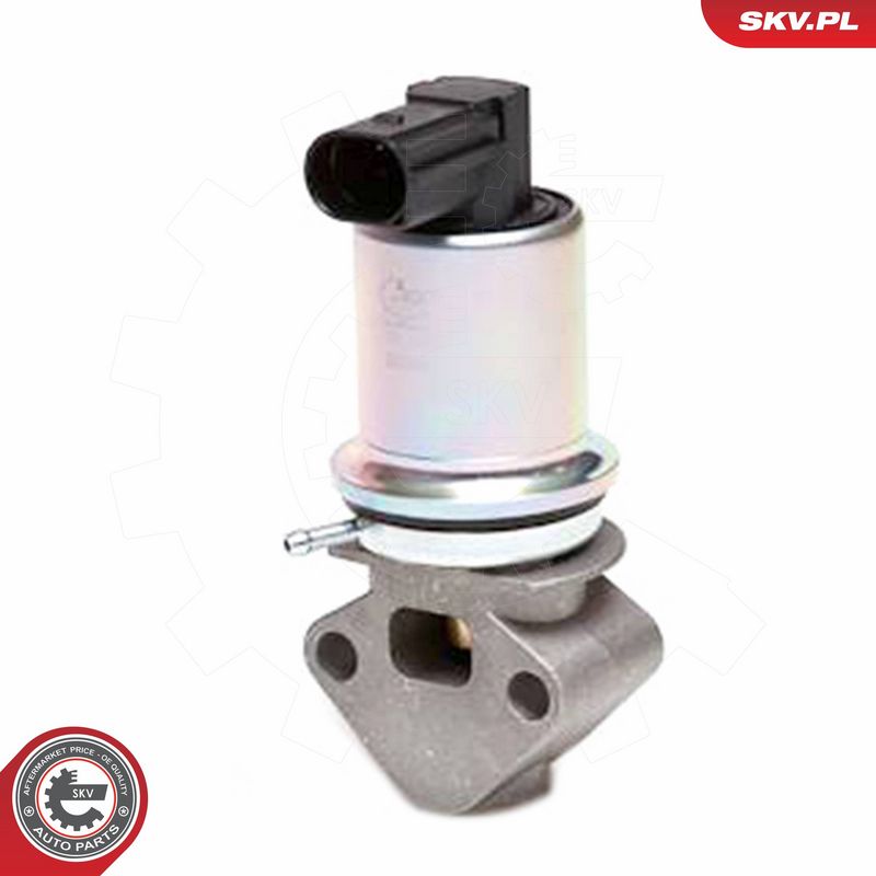 ESEN SKV 14SKV029 EGR Valve