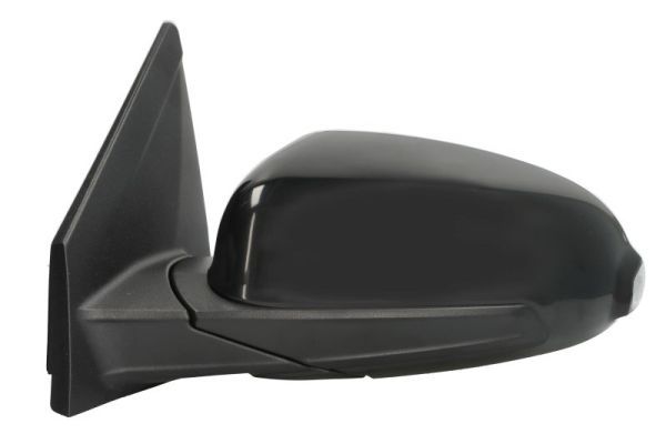 BLIC 5402-20-2238310P Exterior Mirror