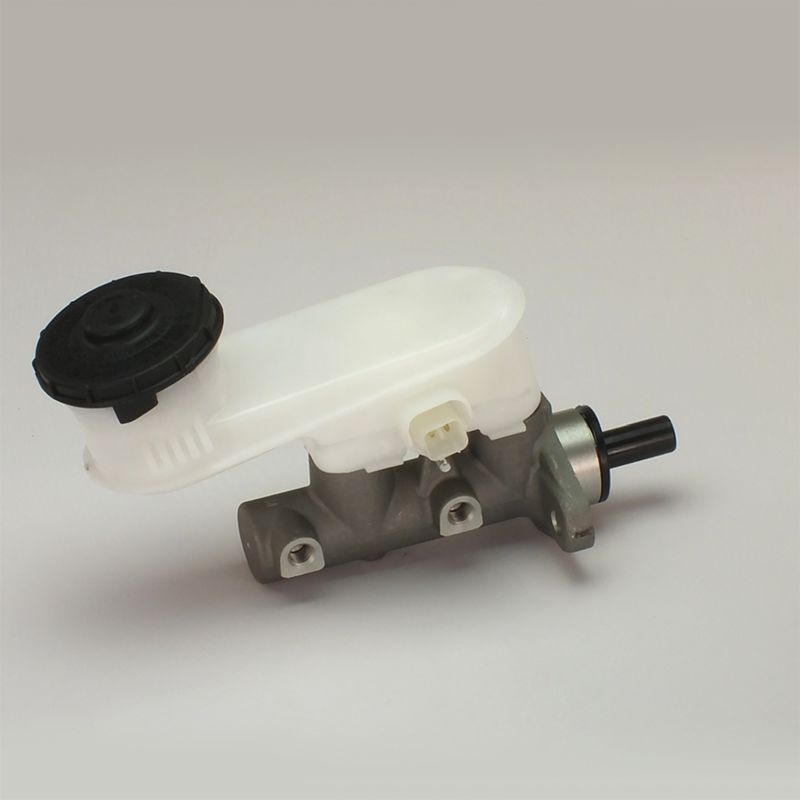 Peapiduri silinder, DELPHI LM80328