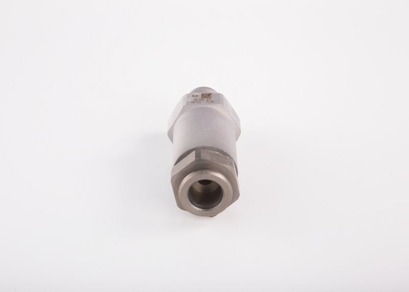 BOSCH Soupape de surpression système à rampe commune 1 110 010 035
