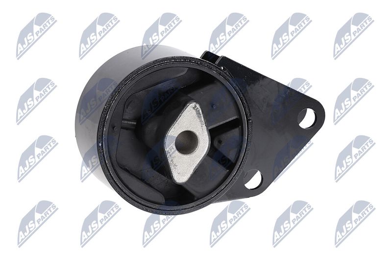 Paigutus, Mootor, NTY ZPS-CH-064