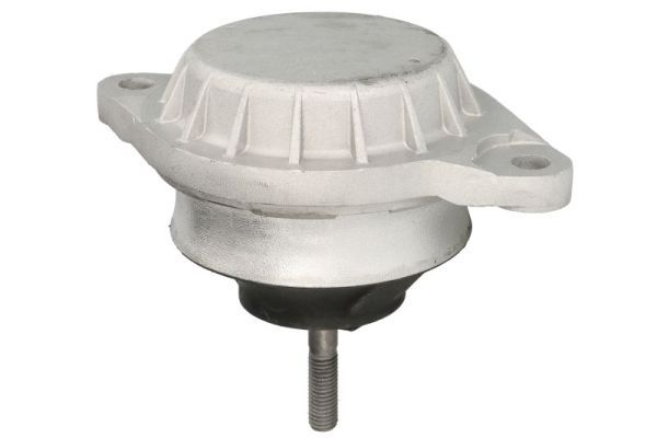 REINHOCH RH11-0183 Mounting, engine
