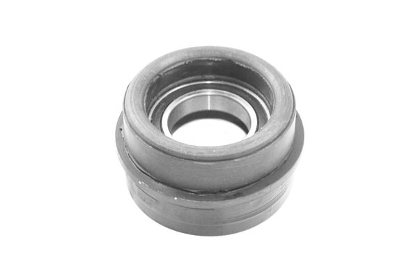 TEDGUM TED98547 Suspension, propshaft