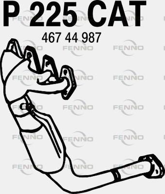 P225CAT.JPG