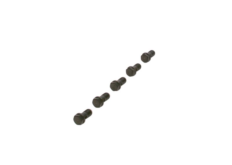 Surub F 019 D01 024 BOSCH