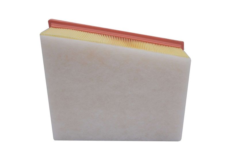 AUTOMEGA 210021410 Air Filter