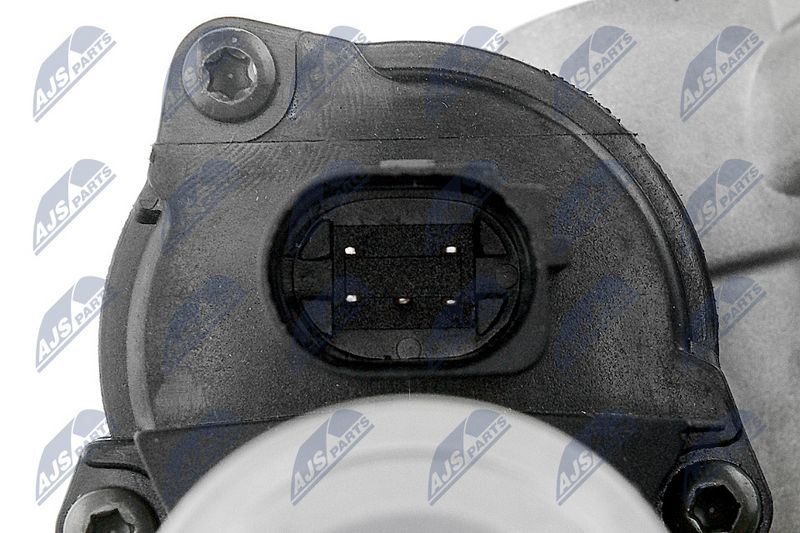 egr-vw-007_5-wm.JPG
