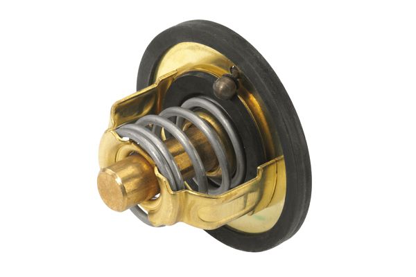 BorgWarner (Wahler) 3116.89D Thermostat, coolant