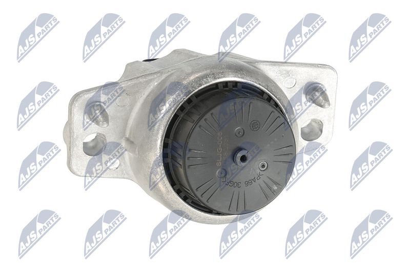 Paigutus, Mootor, NTY ZPS-JG-006