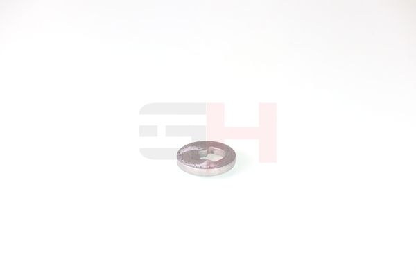 caster shim, sillatala, GH GH-391582