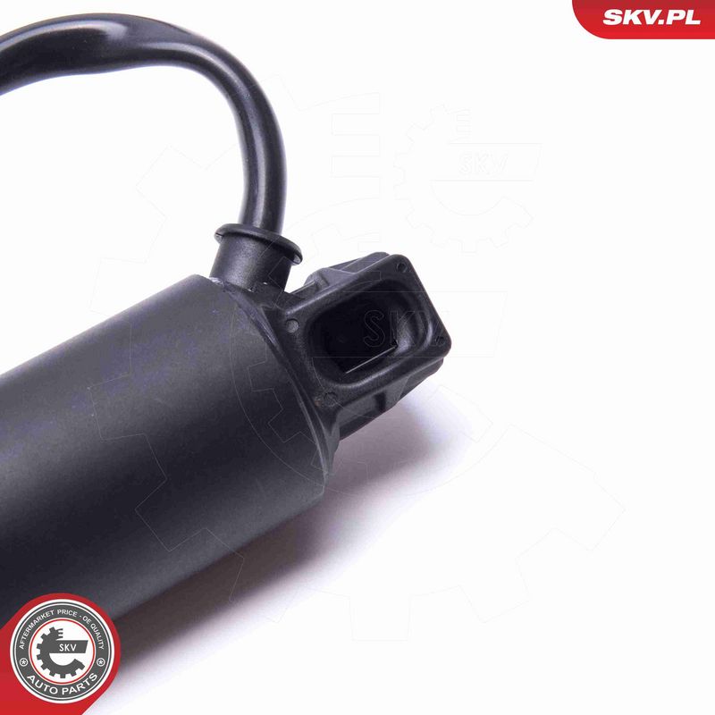ESEN SKV 52SKV946 Electric Motor, tailgate
