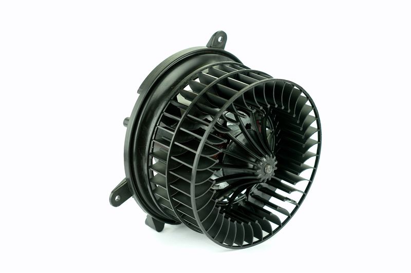 Salongipuhur, NISSENS 87152