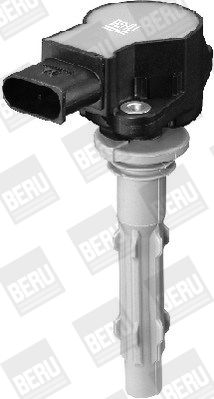 BorgWarner (BERU) ZSE140 Ignition Coil