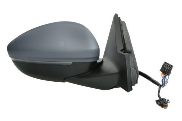 BLIC 5402-04-2440313P Exterior Mirror