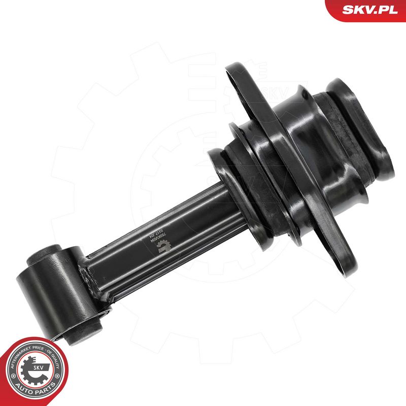 Paigutus, Mootor, ESEN SKV...