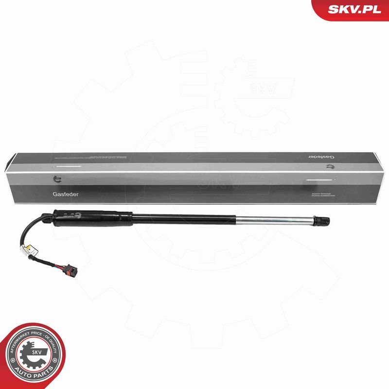 ESEN SKV 52SKV291 - Electric Motor, tailgate
