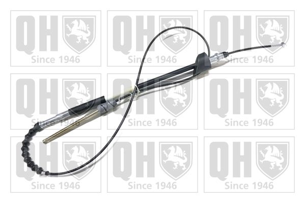 QH_BC3173.JPG