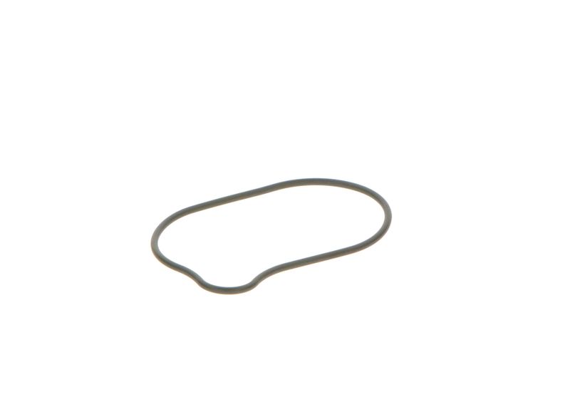 BOSCH 2440210028 Rubber Ring