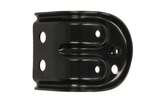 BLIC 6502-08-5029243P Support, radiator grille