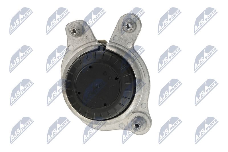 Paigutus, Mootor, NTY ZPS-ME-106