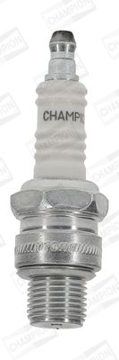 CCH838M_4510894.JPG