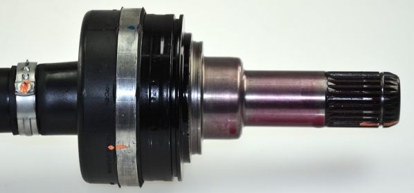 GKND30031C.JPG