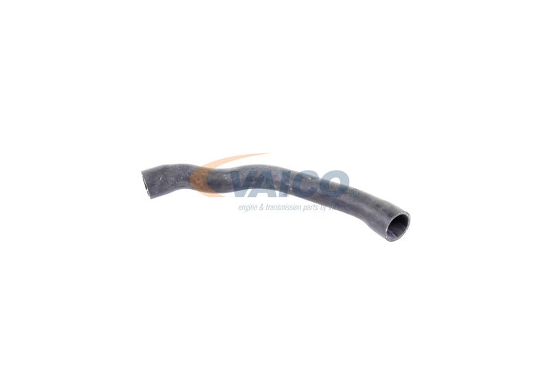 VAICO V30-2099 Radiator Hose