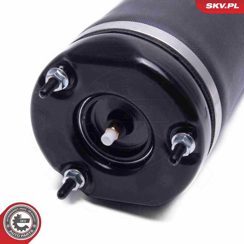 ESEN SKV 58SKV714 Air Suspension Strut