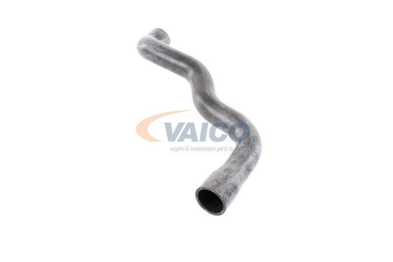 VAICO V30-2915 Radiator Hose