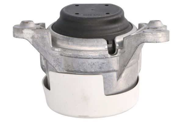 REINHOCH RH11-3169 Mounting, engine