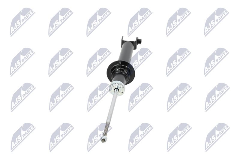 Amort, NTY A-CH-054