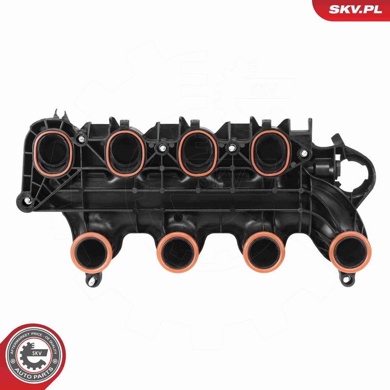 ESEN SKV 49SKV104 Intake Manifold Module