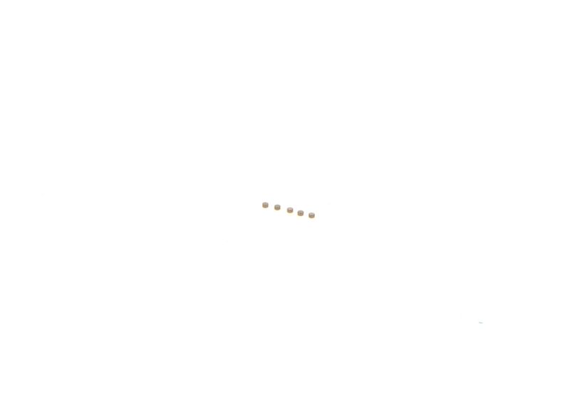 BOSCH F00ZC99750 Repair Kit, common rail system