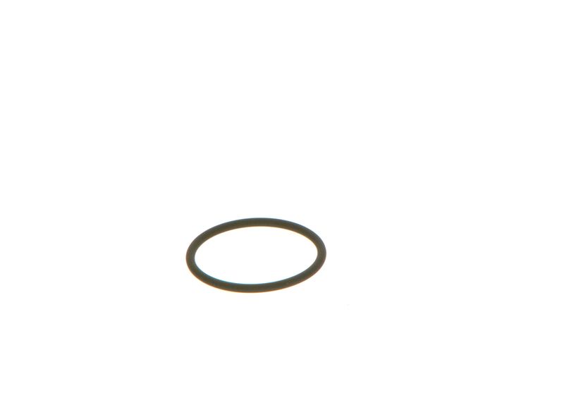 BOSCH F 00V C38 002 Seal Ring