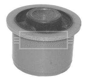 BSK6637_211624.JPG