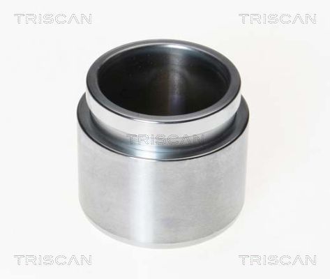 8170232008.JPG
