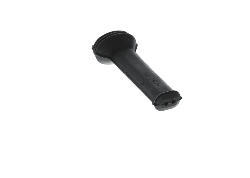 Capac 1 250 703 001 BOSCH