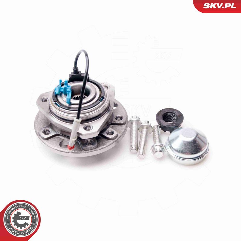 ESEN SKV 29SKV019 Wheel Bearing Kit