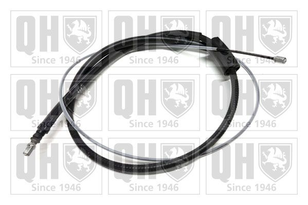 QH_BC4511.JPG