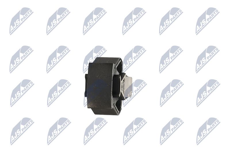 Paigutus, Mootor, NTY ZPS-PE-022