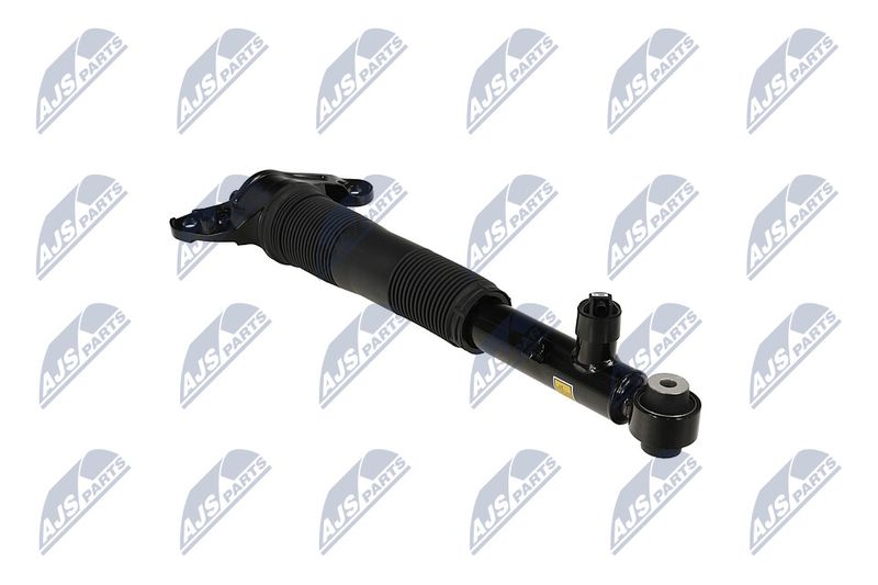 Amort, NTY A-LR-037