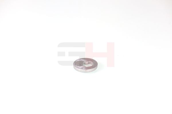 caster shim, sillatala, GH GH-391582