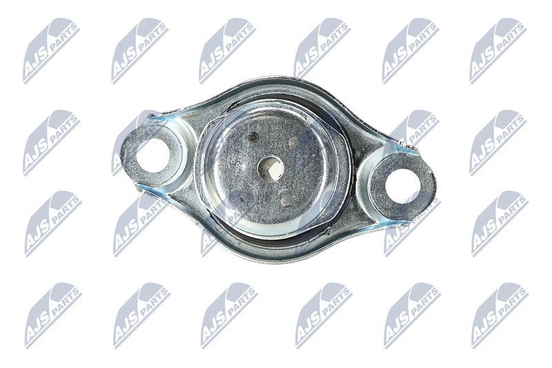 Paigutus, Mootor, NTY ZPS-FT-005