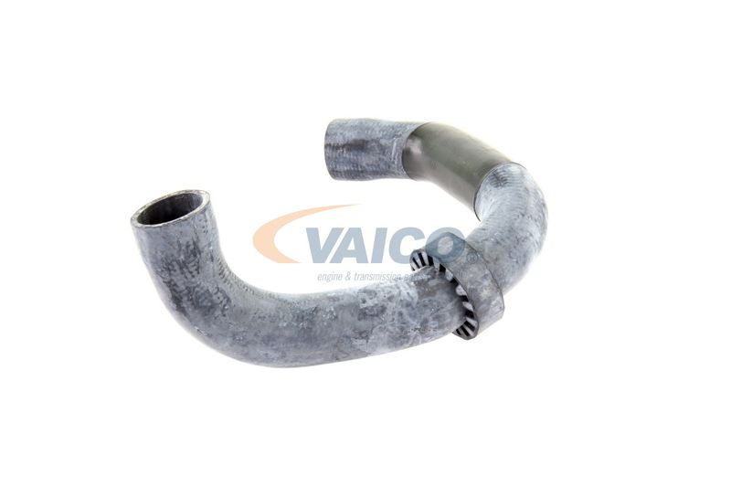 VAICO V30-2220 Radiator Hose