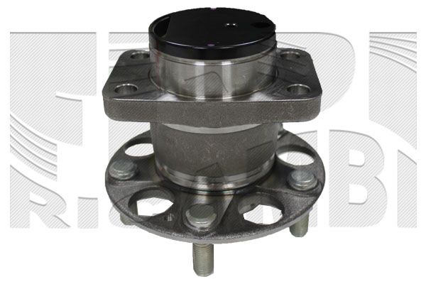 RK2713.JPG