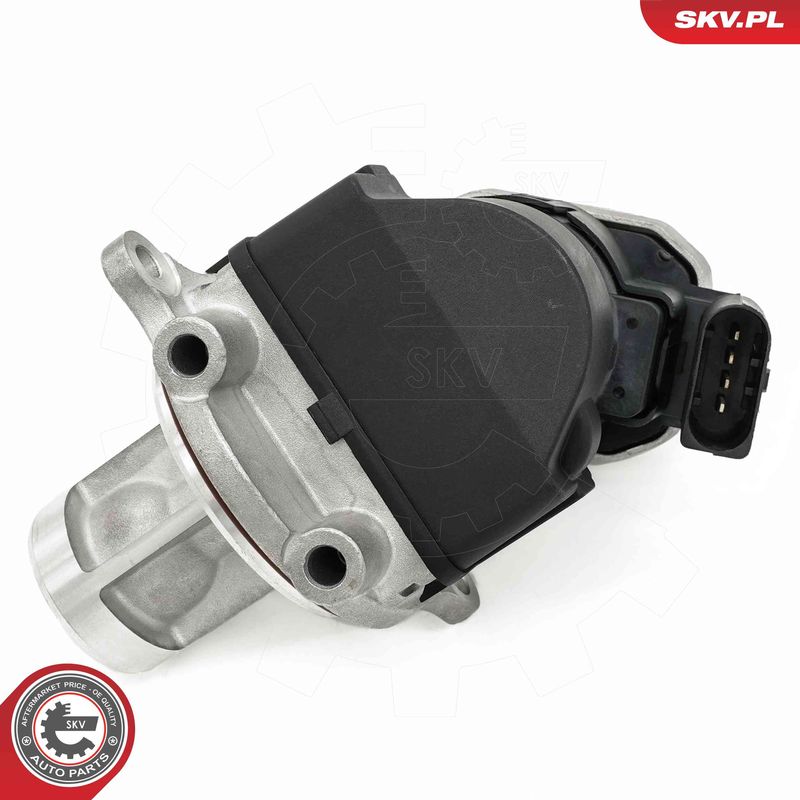 ESEN SKV 14SKV272 EGR Valve