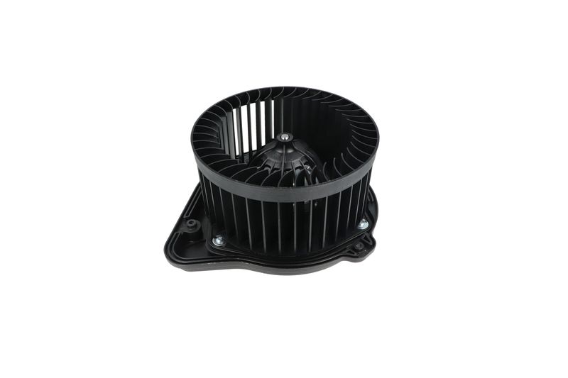 Salongipuhur, NRF 34136