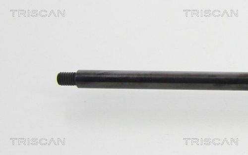 TRIS8710819367150_3.JPG