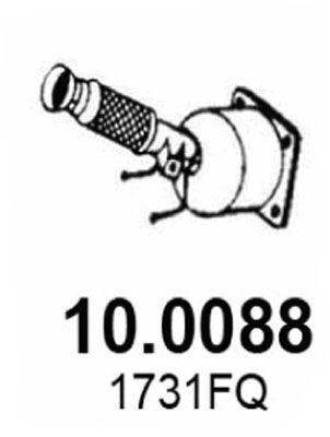 10.0088_1.JPG