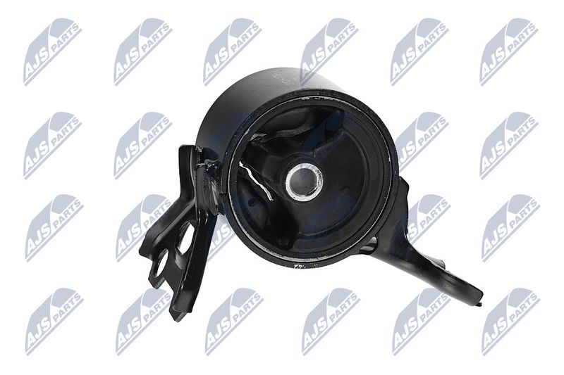 Paigutus, Mootor, NTY ZPS-CH-179